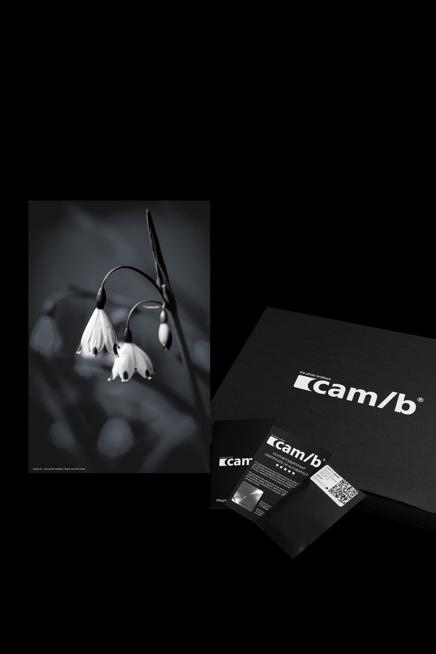 Wandbild "black summer knot"