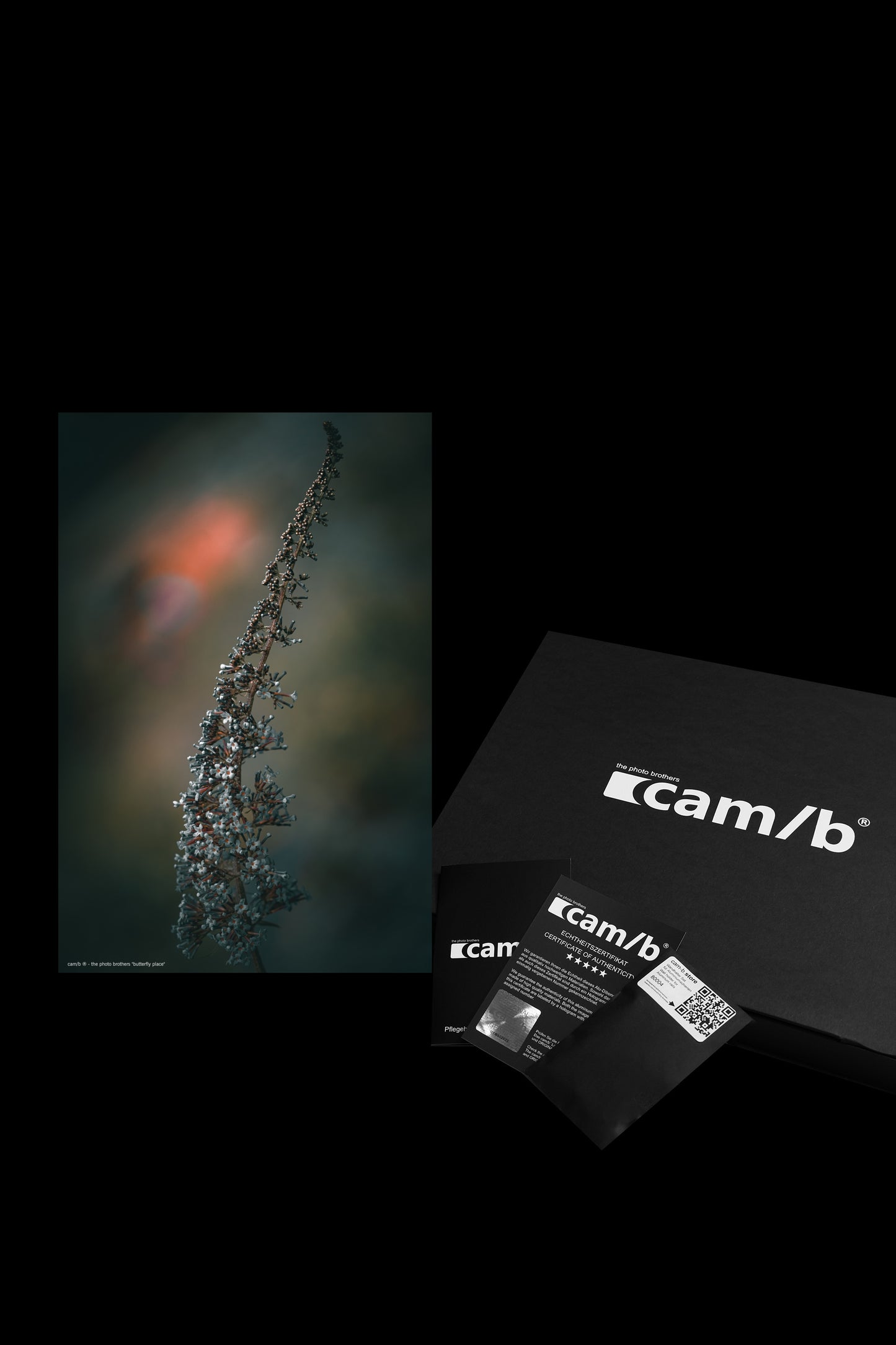 Wandbild "butterfly place"