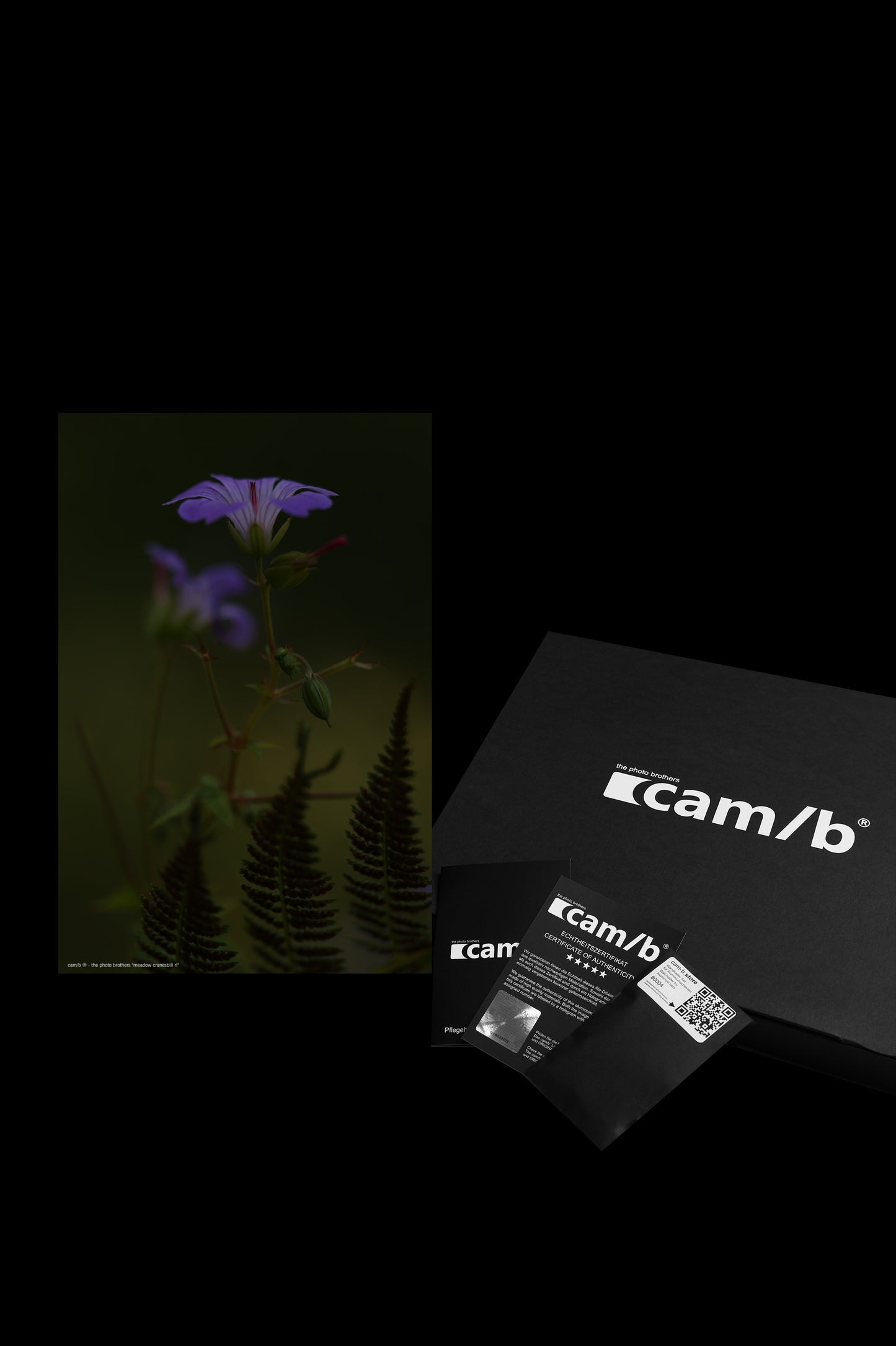 Wandbild "meadow cranesbill rl"