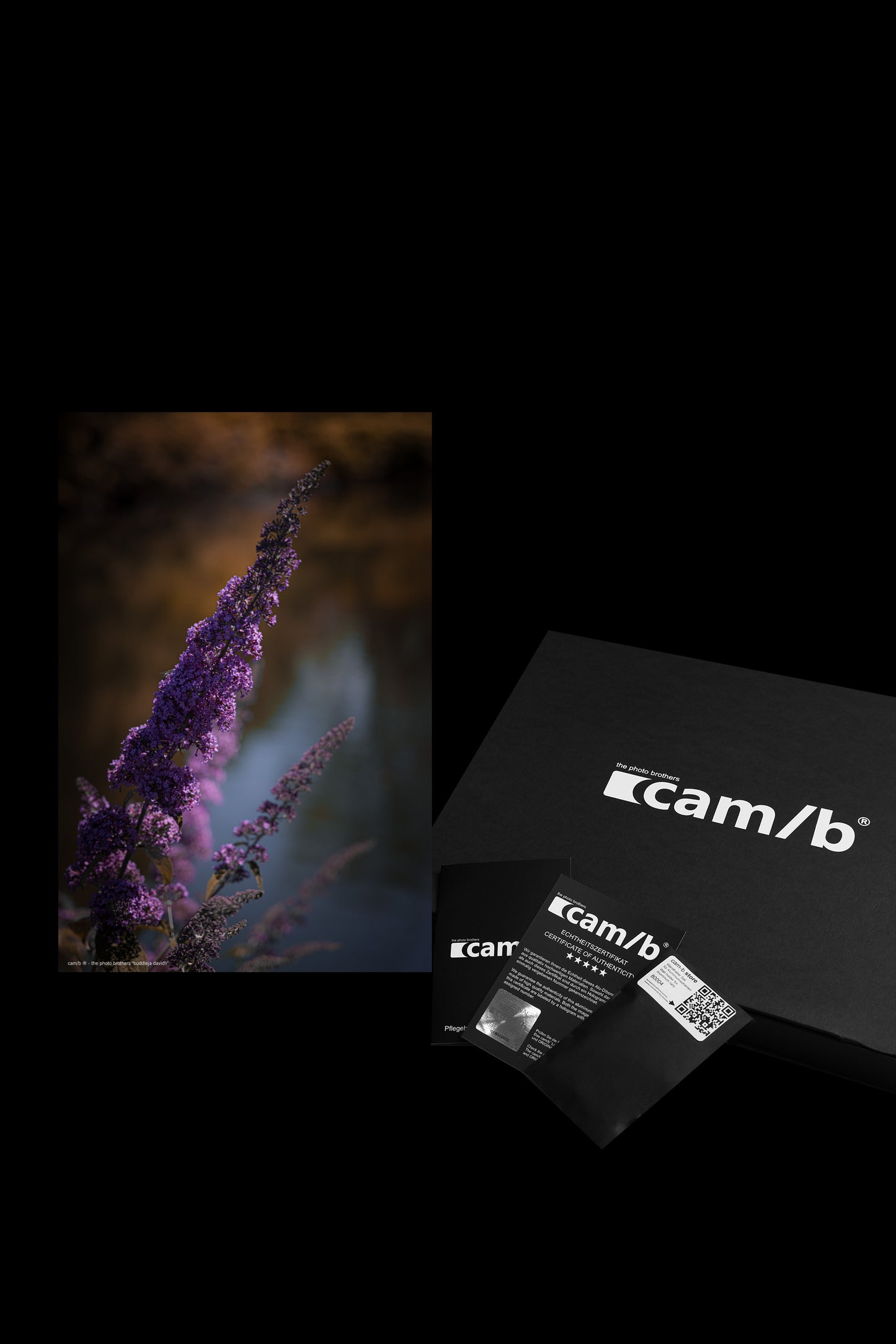 Wandbild "buddleja davidii"