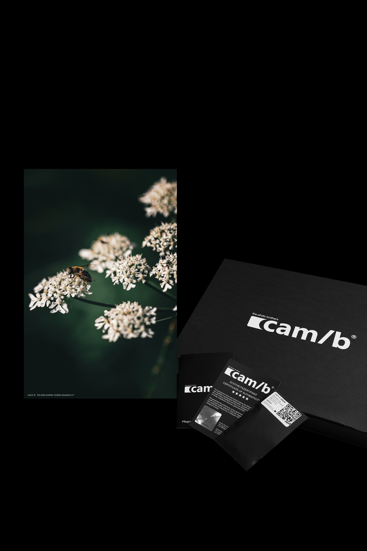 Wandbild "eristalis arbustorum rl"