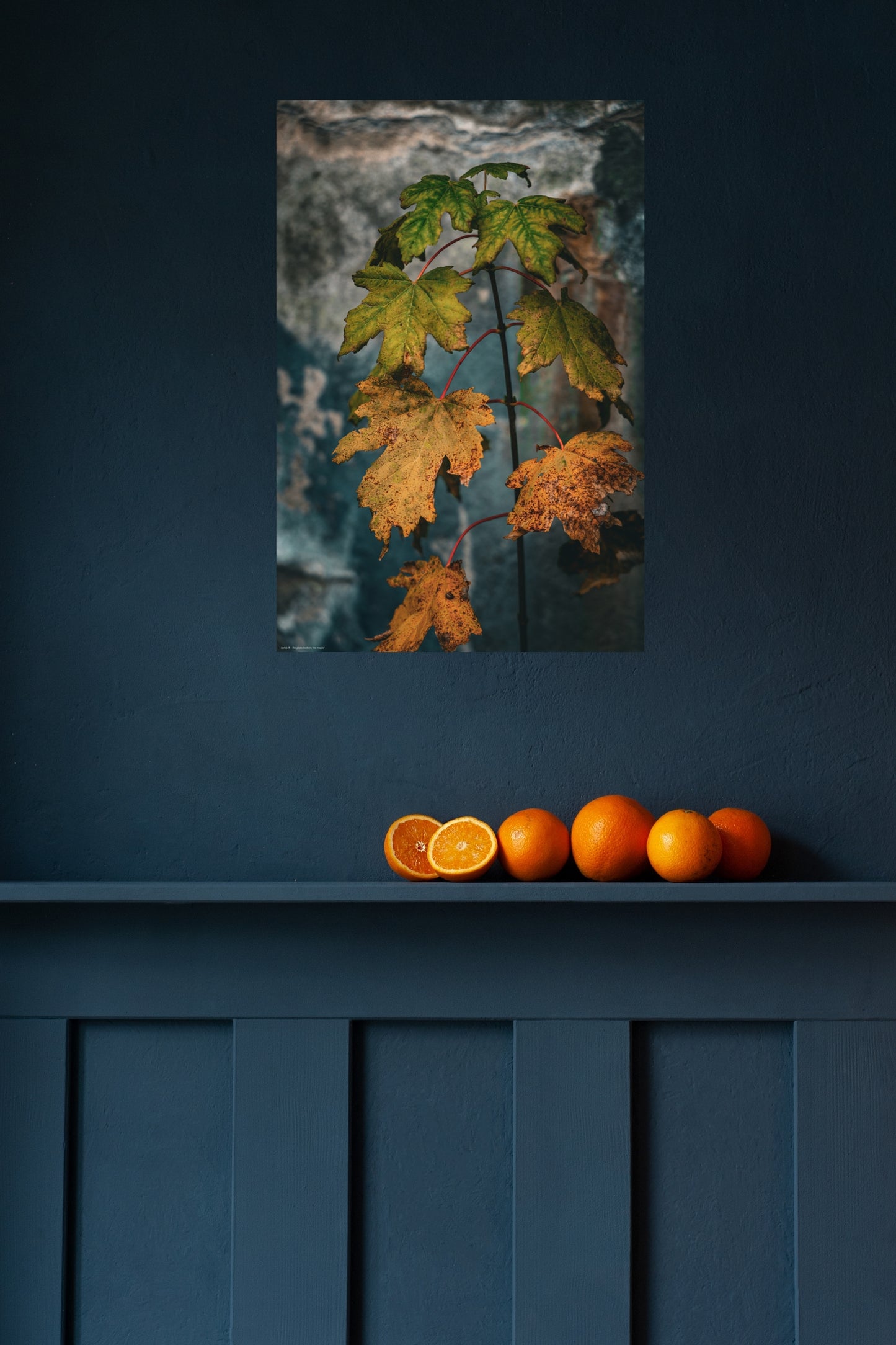 Wandbild "mr. maple"