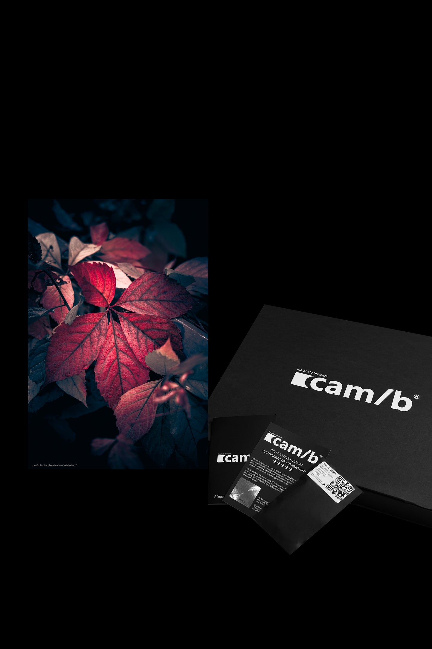 Wandbild "wild wine rl"