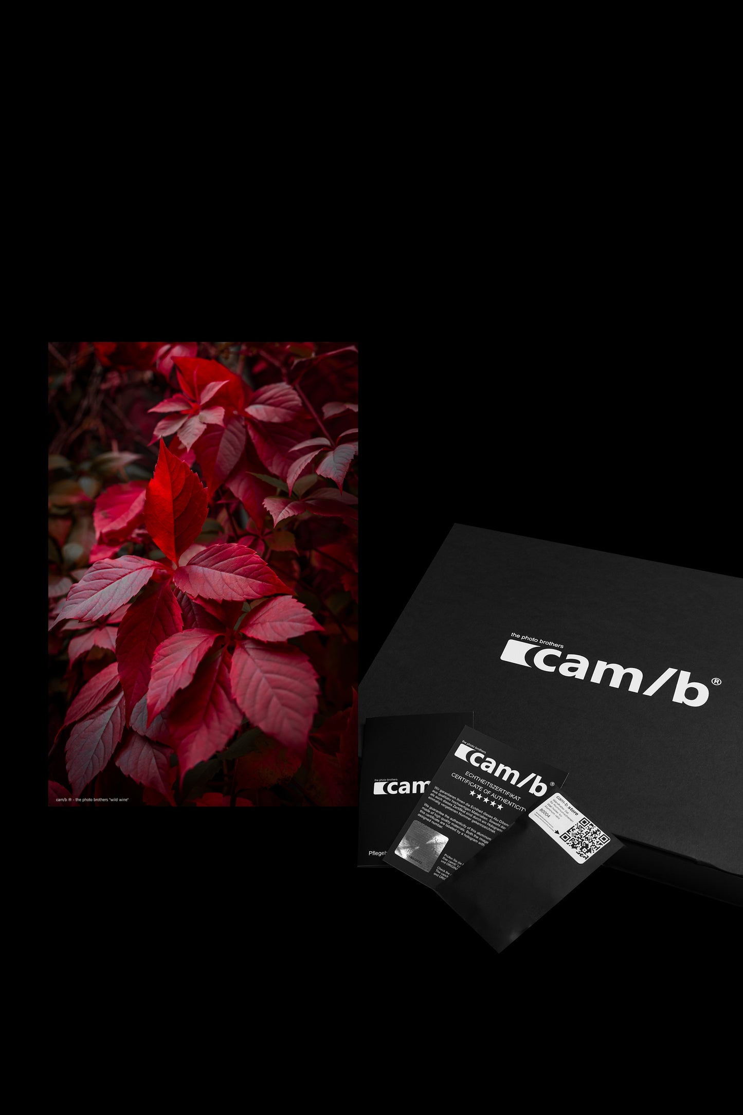 Wandbild "wild wine"