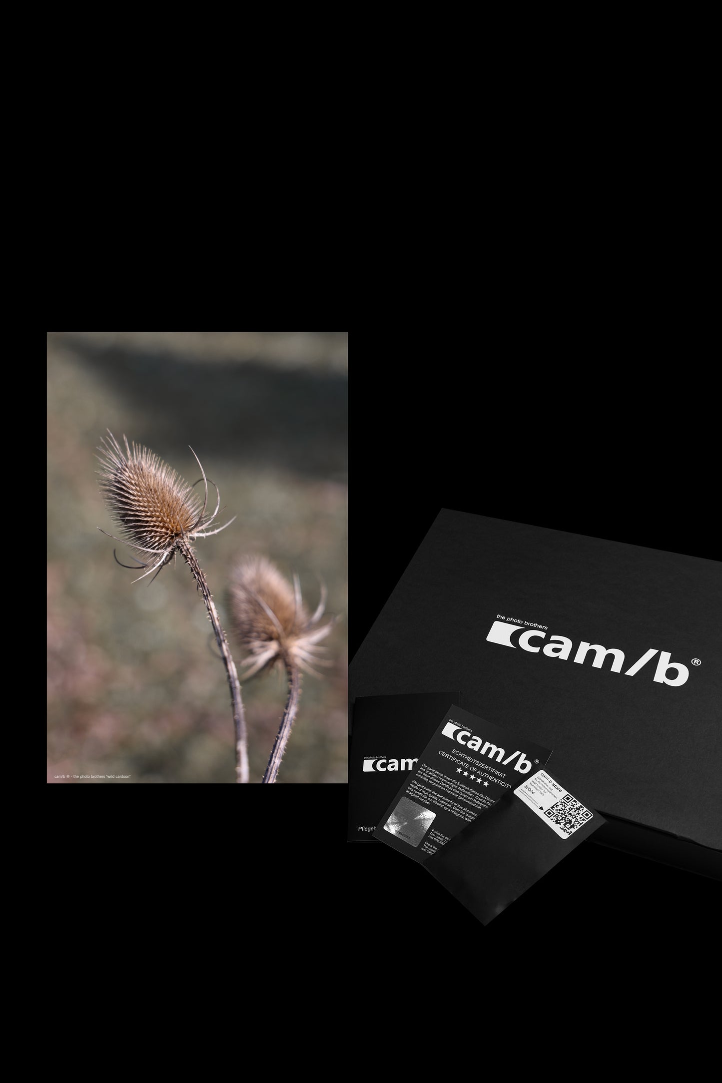 Wandbild "wild cardoon"