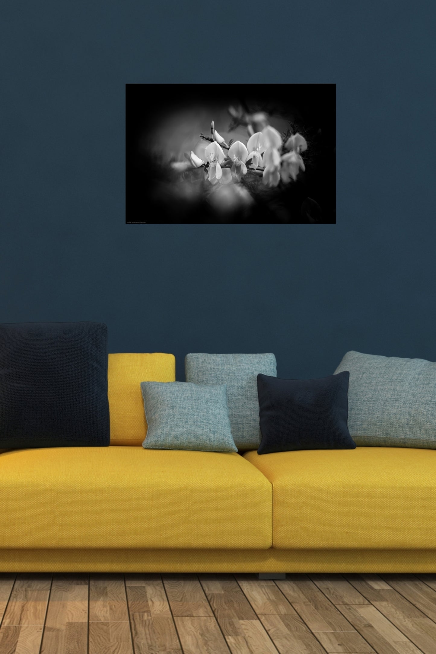 Wandbild "cytisus striatus rl"