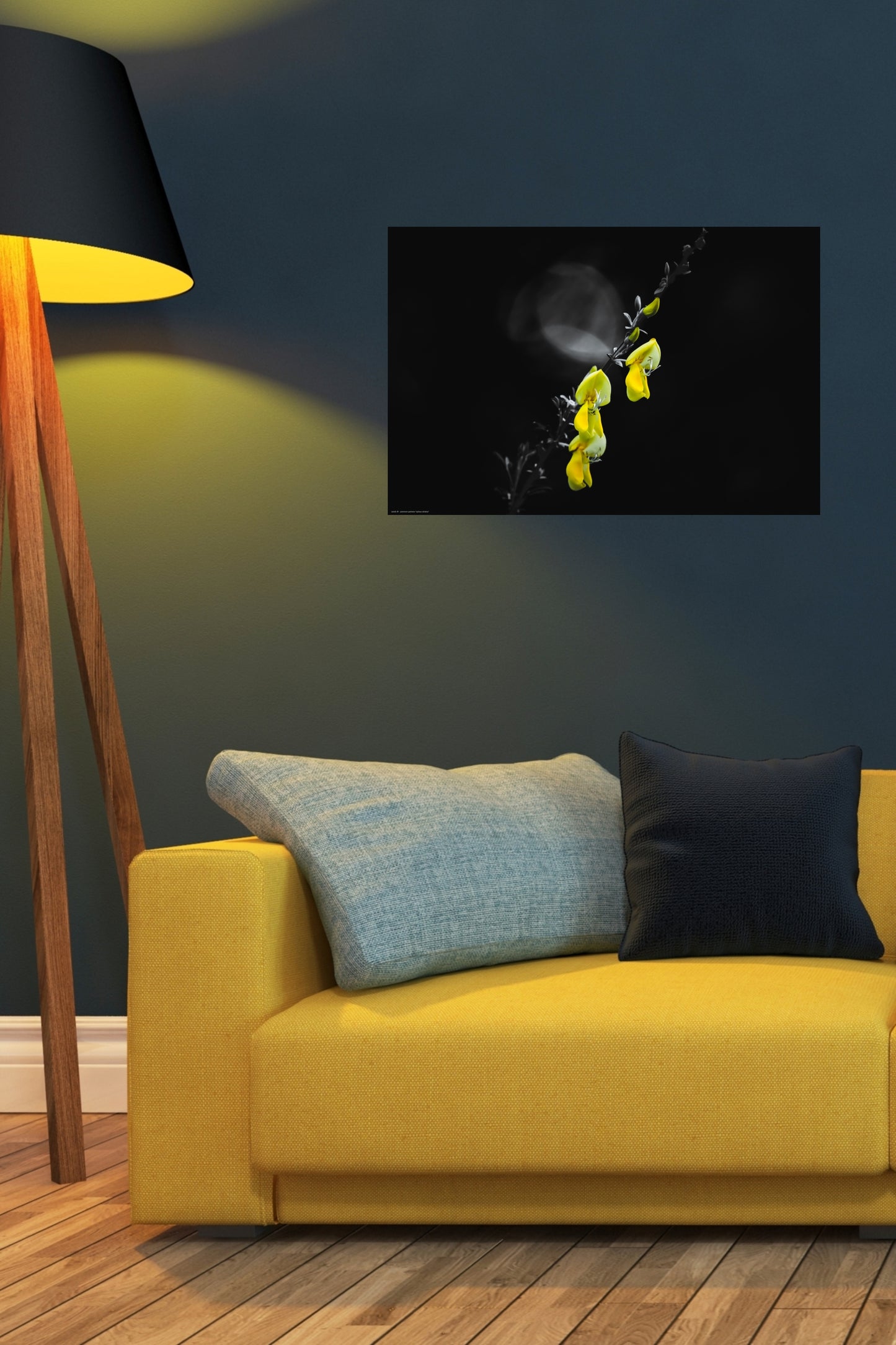 Wall Art "cytisus striatus"