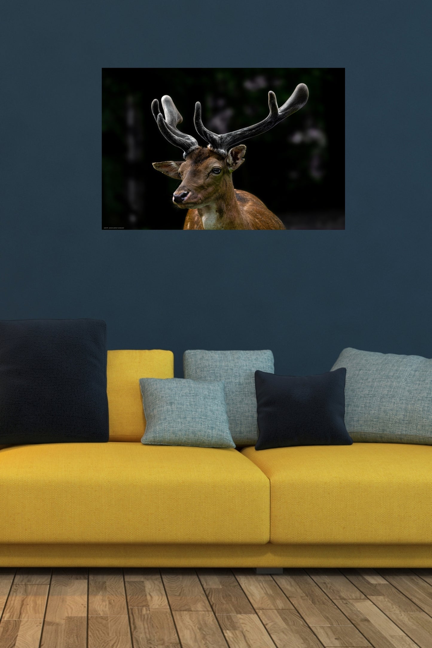 Wandbild "curiosity two"