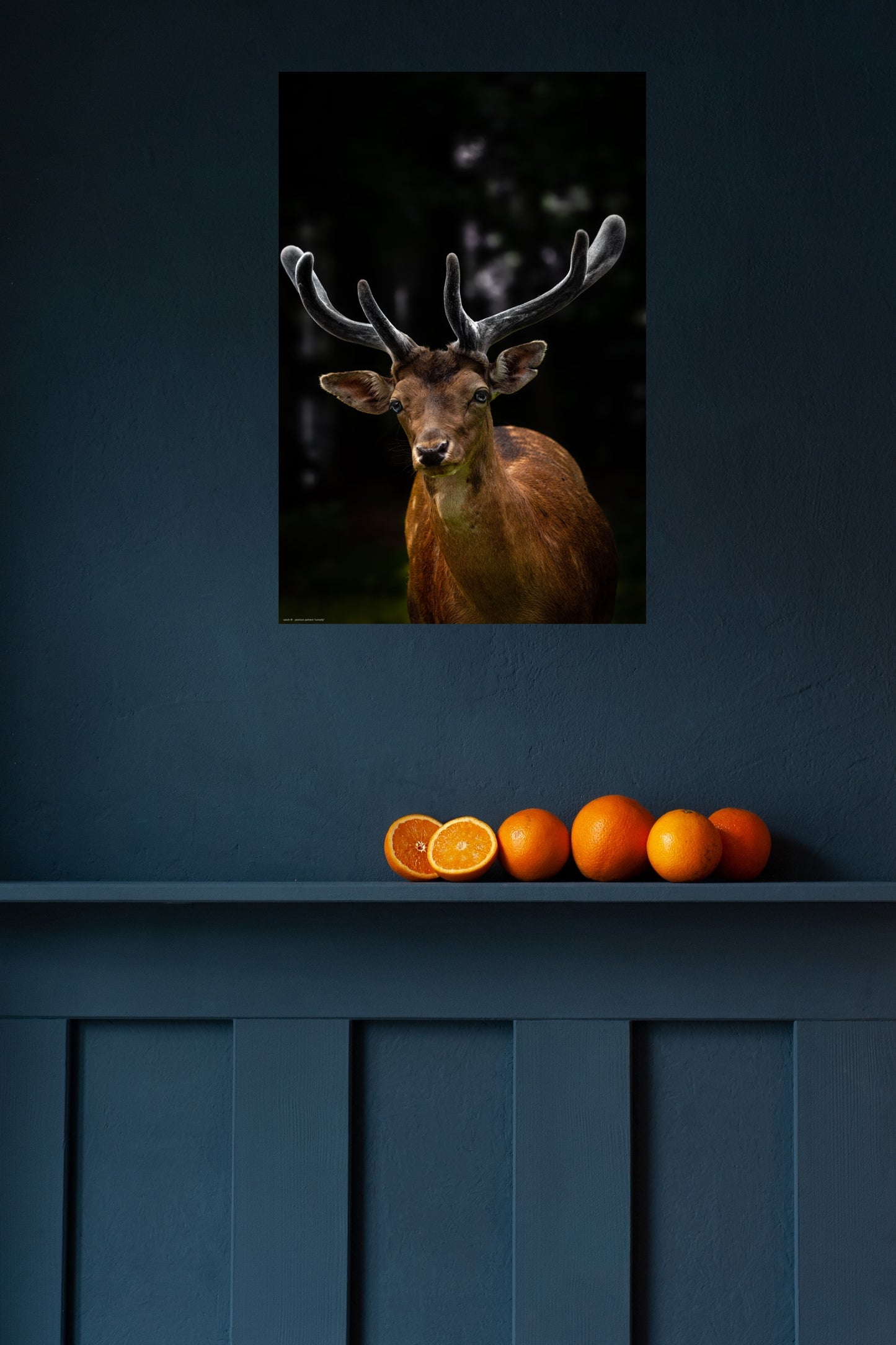 Wandbild "curiosity"