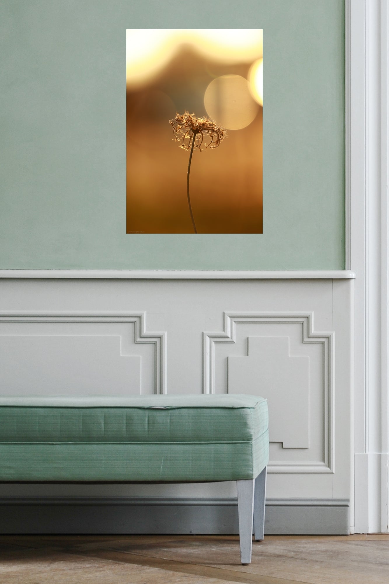 Wandbild "wild carrot"