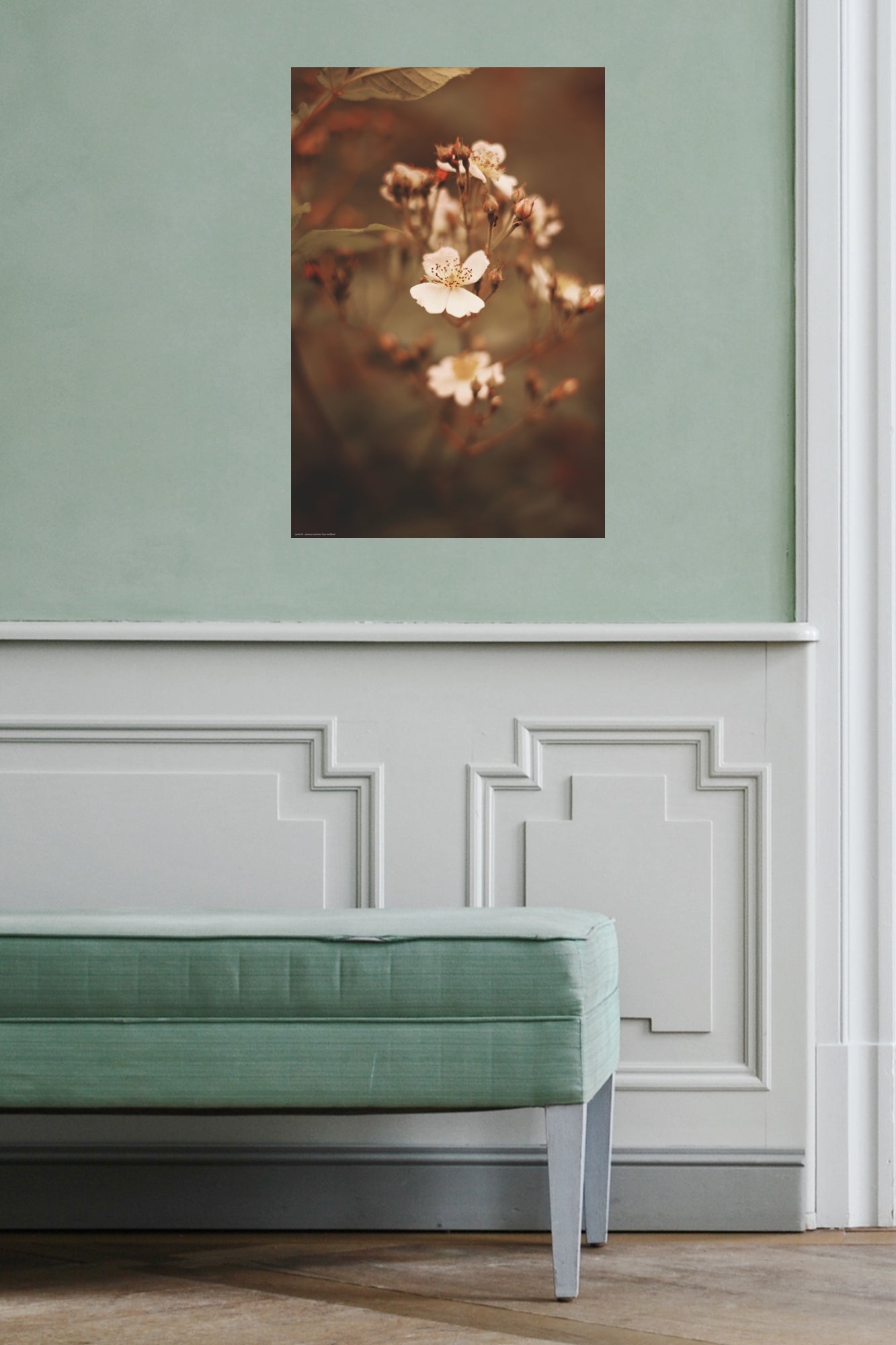 Wandbild "rosa multiflora"