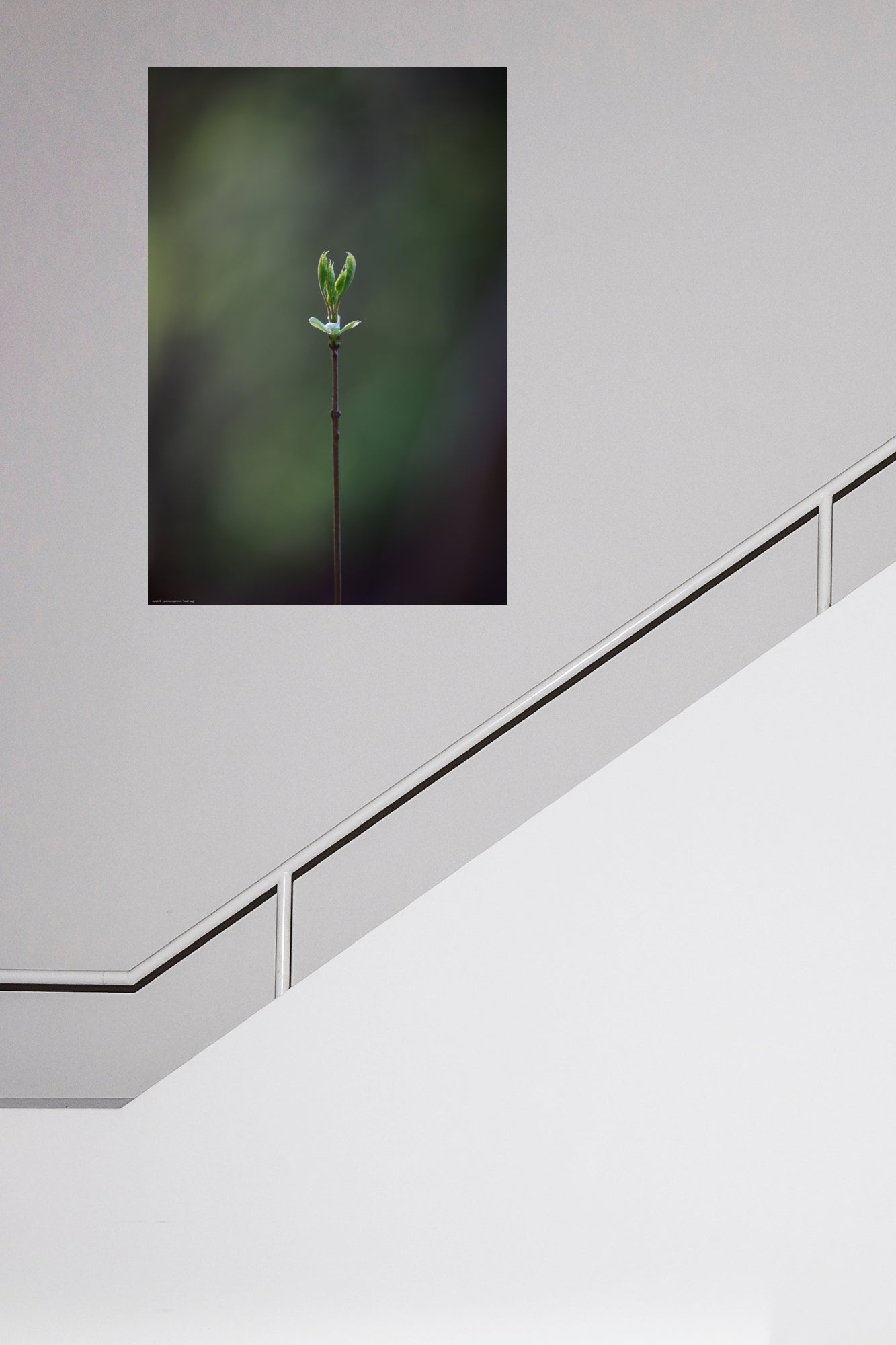 Wandbild "small twig"