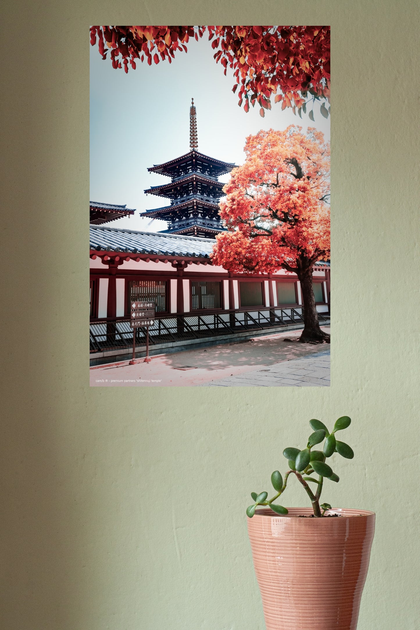 shitennoji temple