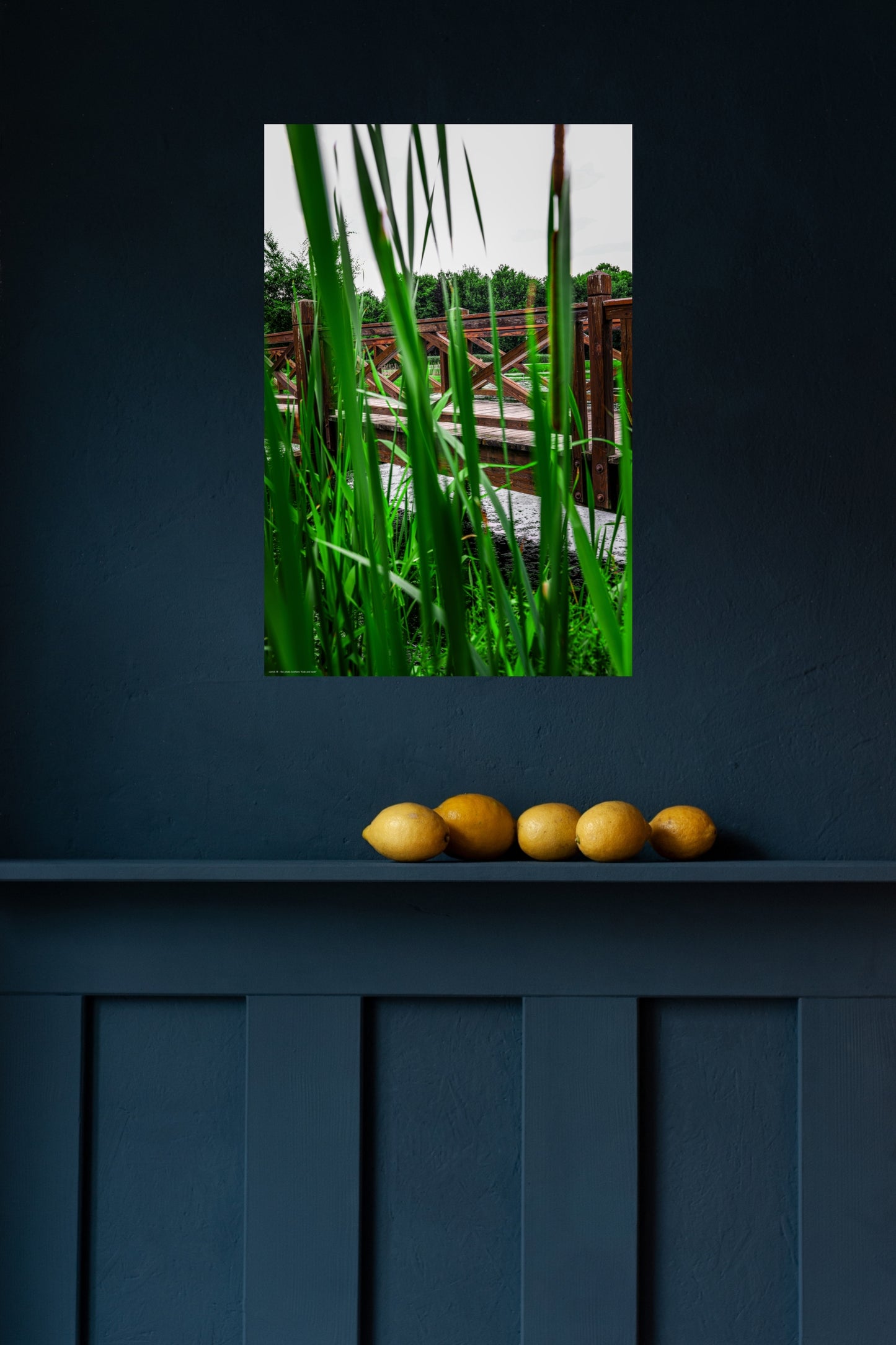 Wandbild "hide and seek"