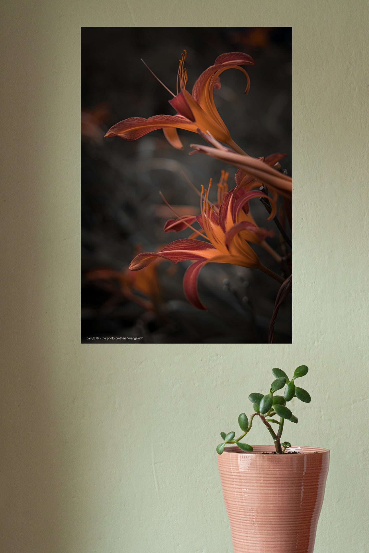 Wandbild "orangered"