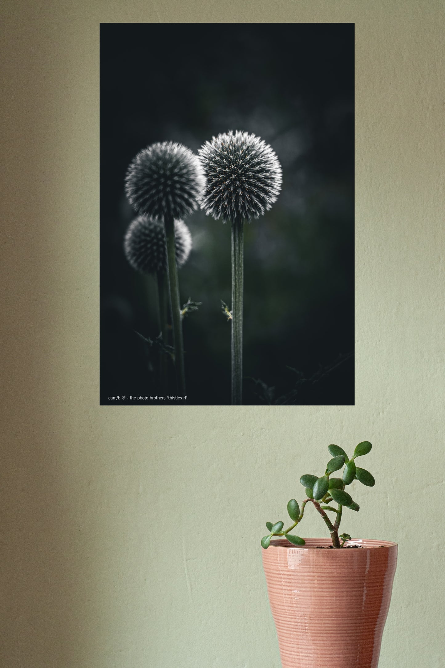 Wandbild "thistles rl"