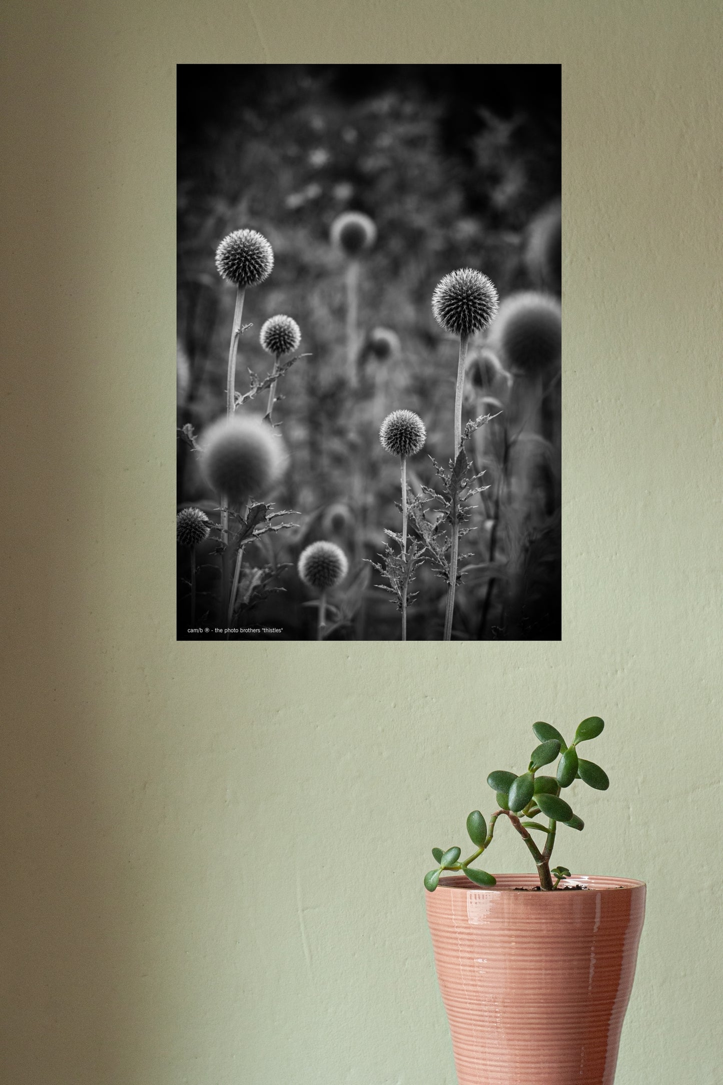 Wandbild "thistles"