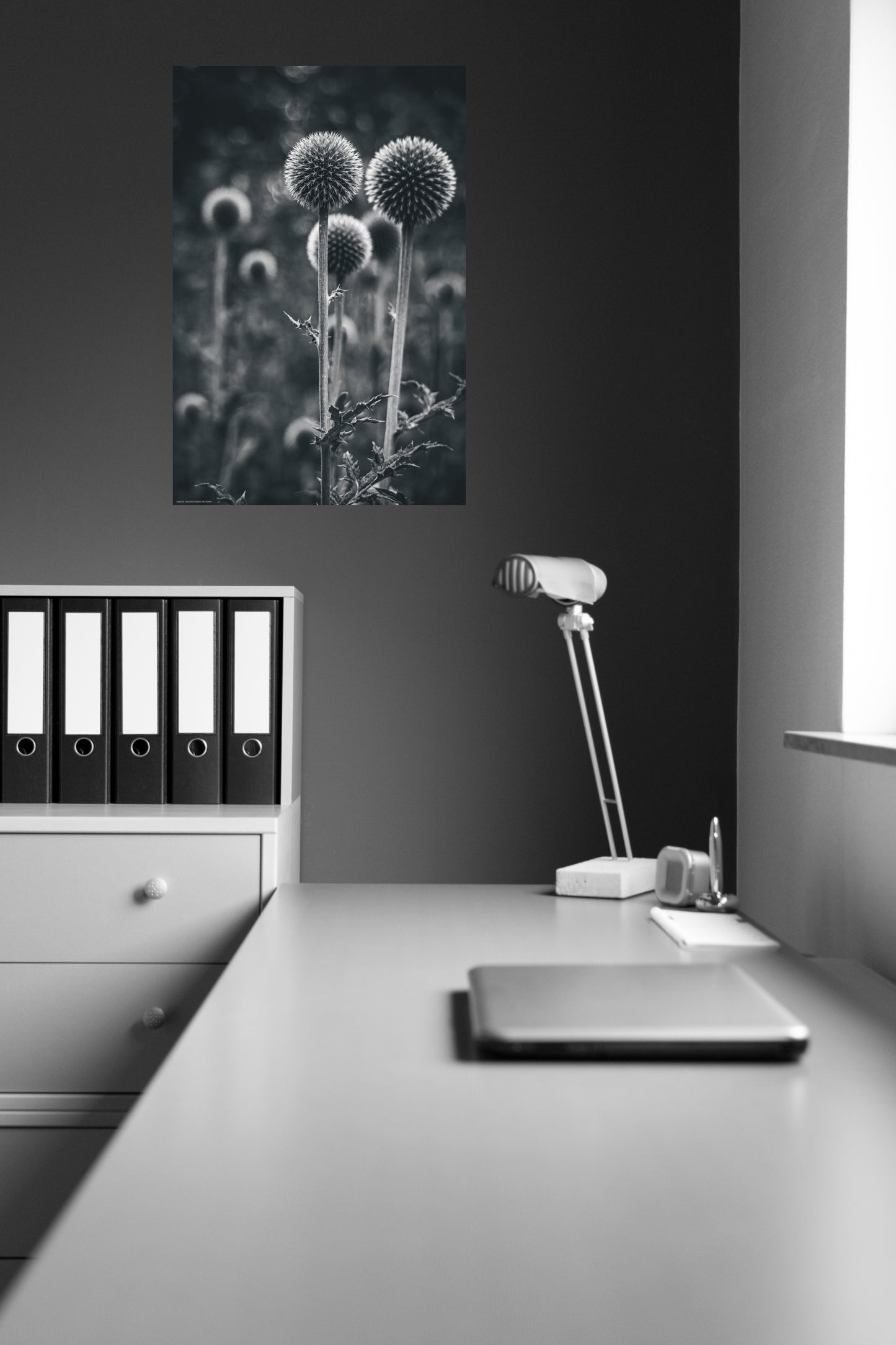 Wandbild "the thistles"