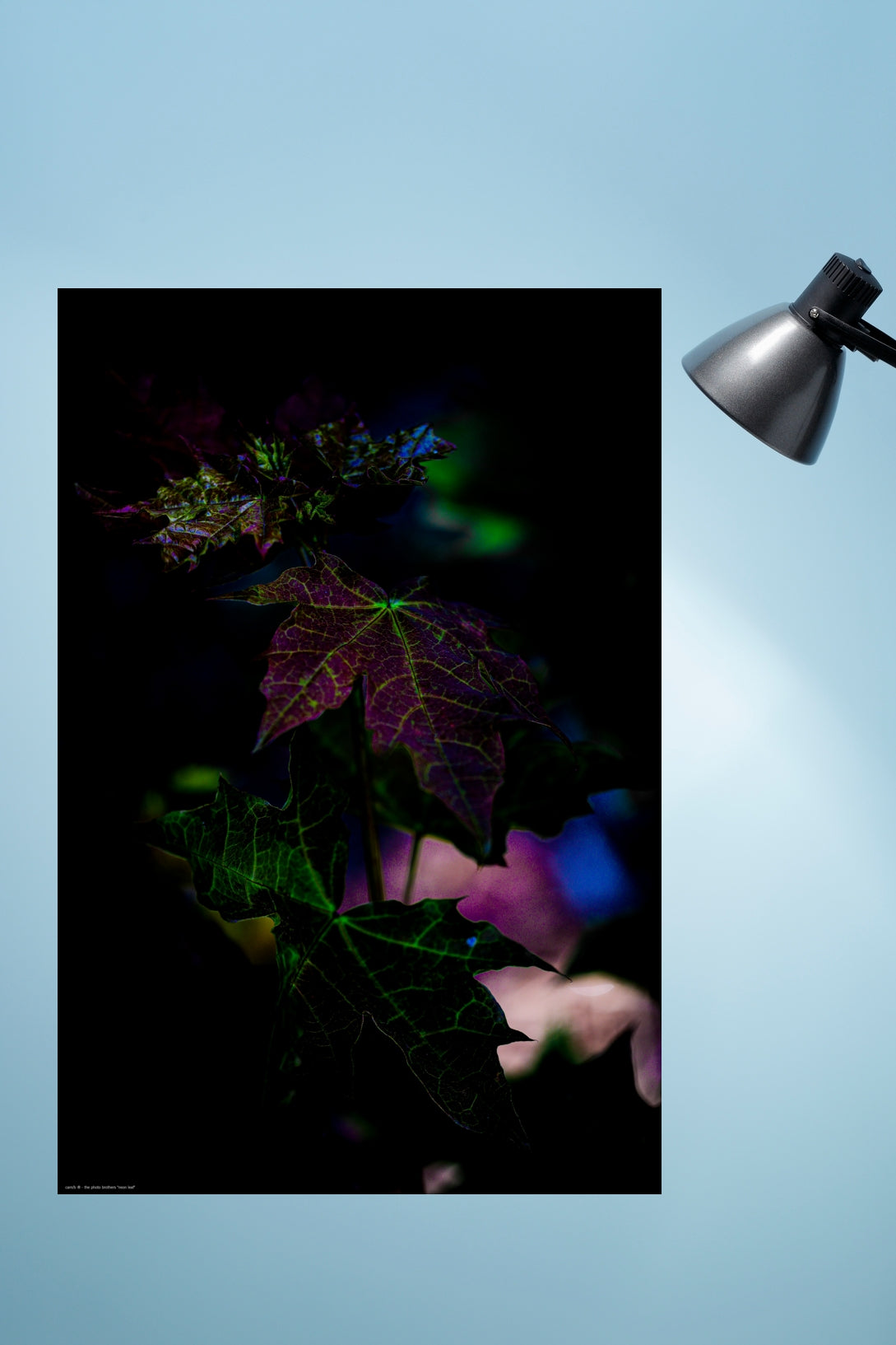 Wandbild "neon leaf"