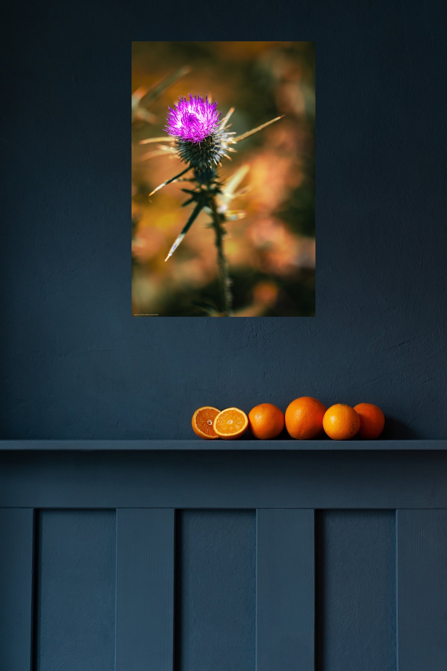 Wandbild "common thistle"