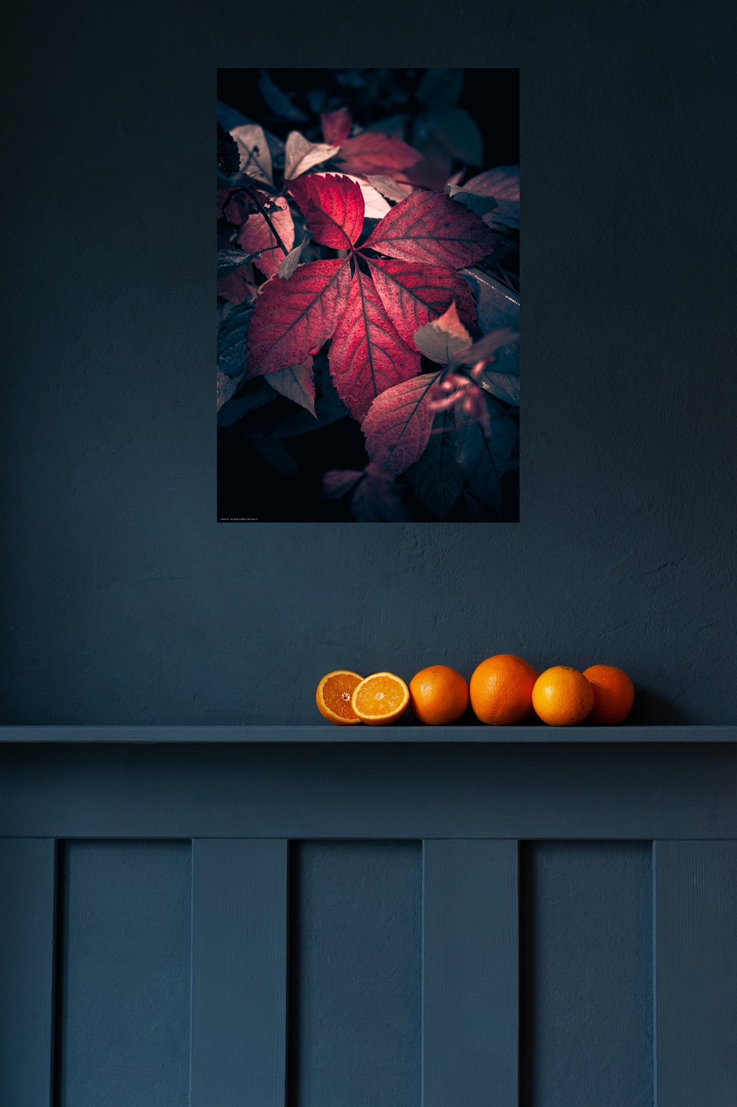 Wandbild "wild wine rl"