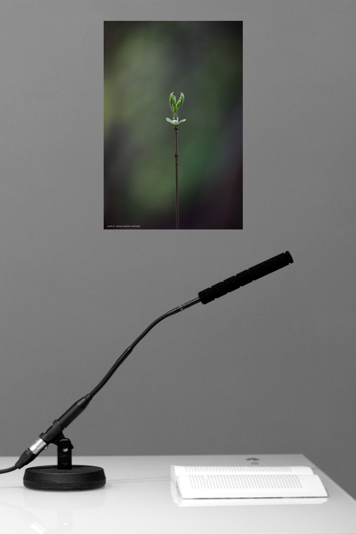 Wandbild "small twig"