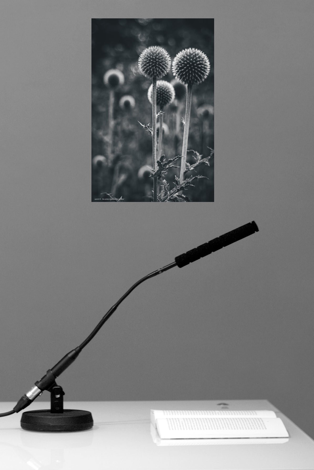 Wandbild "the thistles"