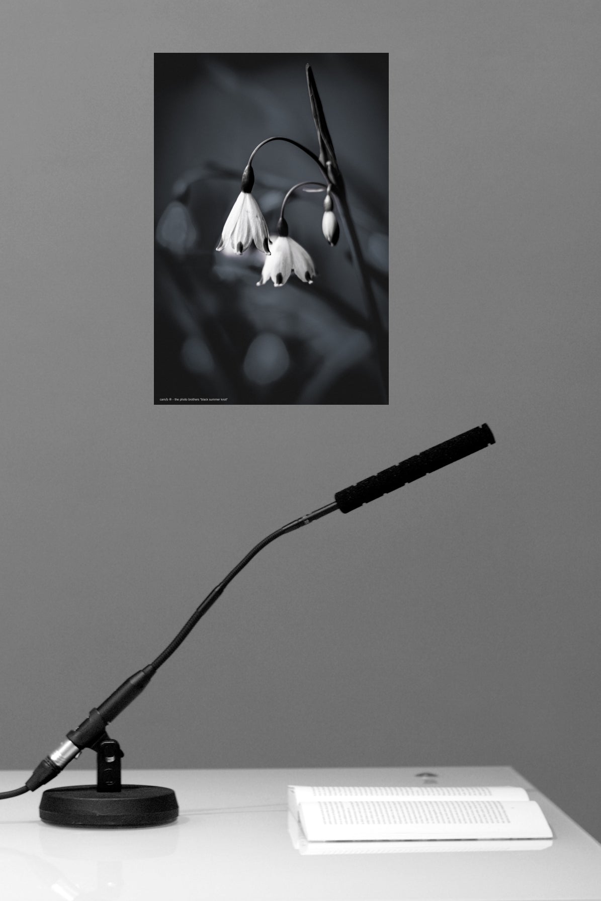 Wandbild "black summer knot"