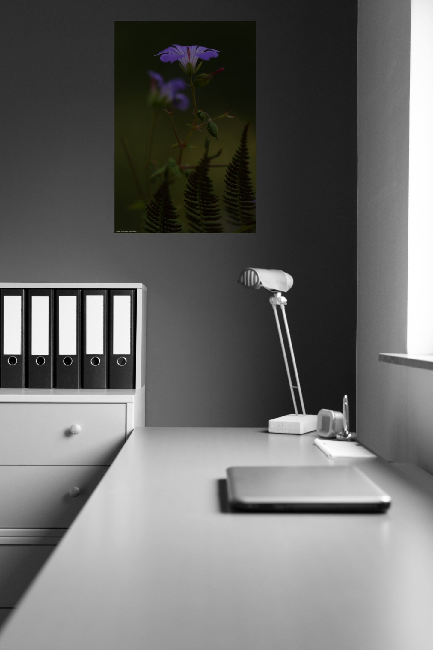 Wandbild "meadow cranesbill rl"