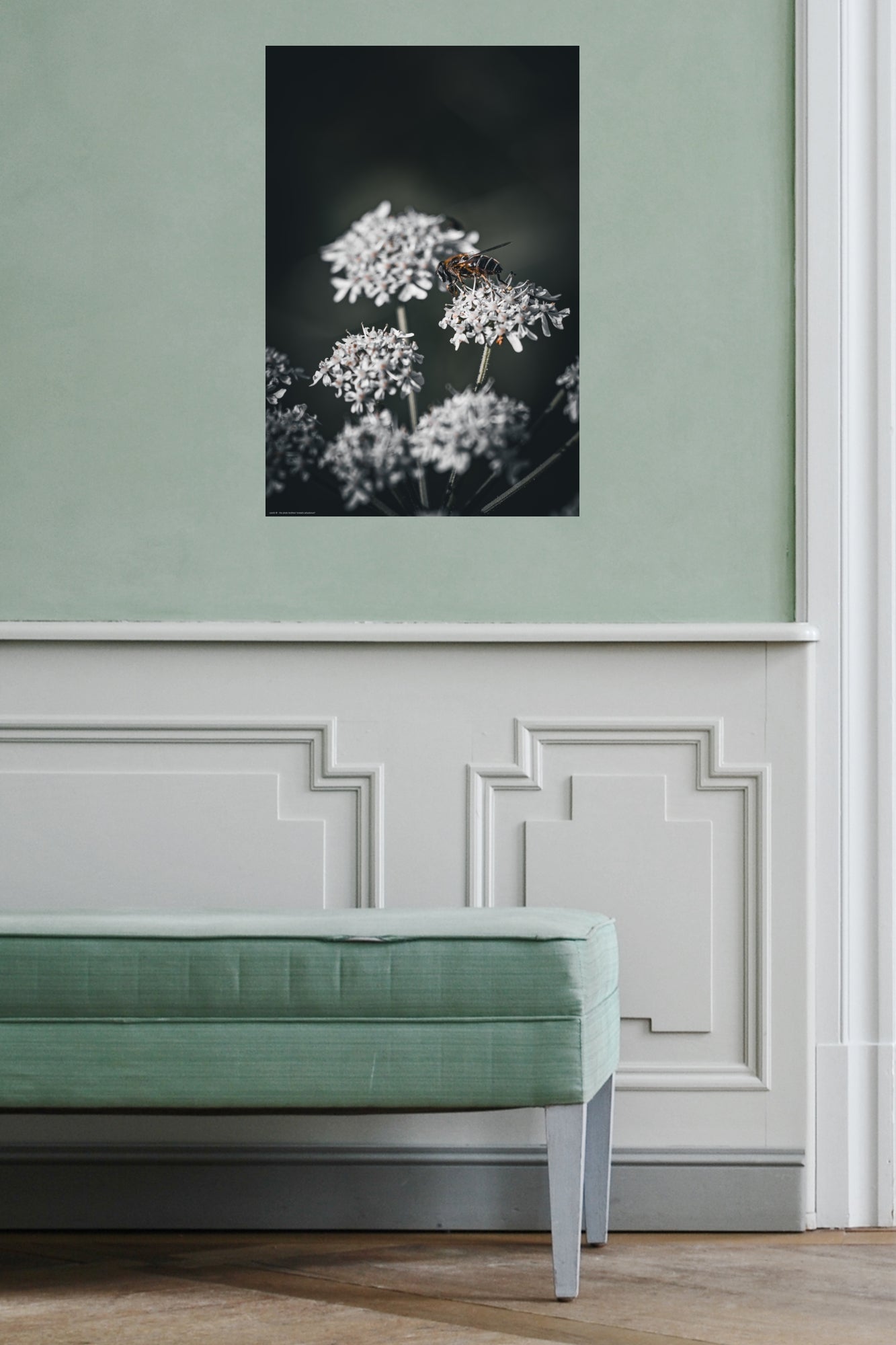 Wandbild "eristalis arbustorum"