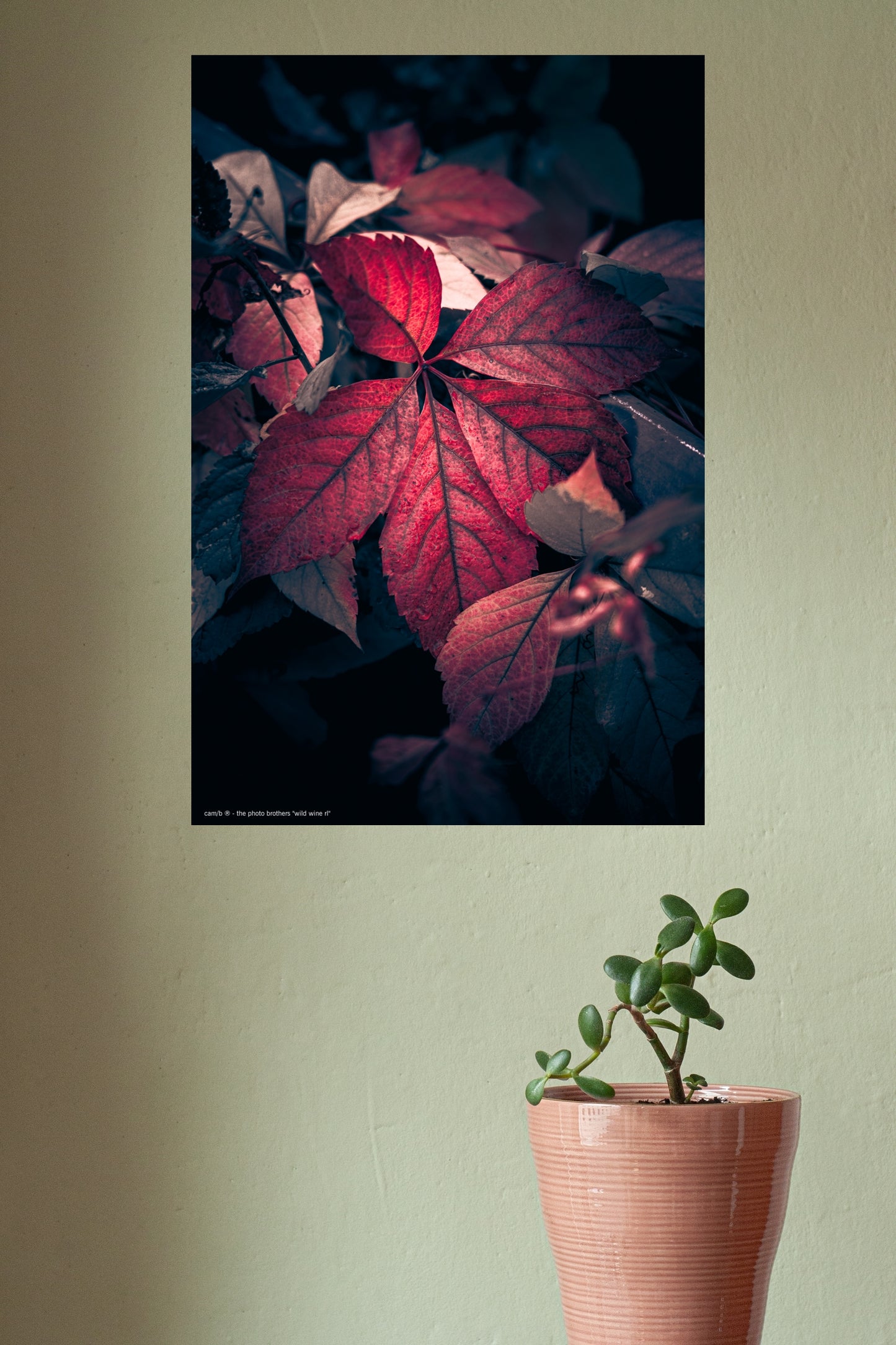 Wandbild "wild wine rl"