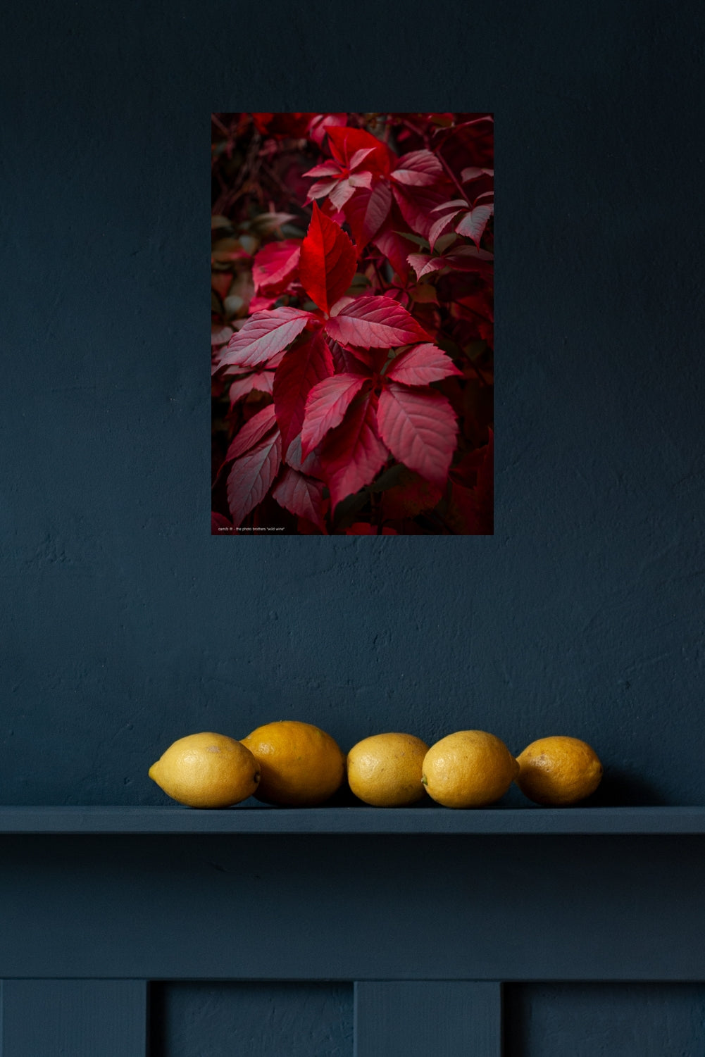 Wandbild "wild wine"