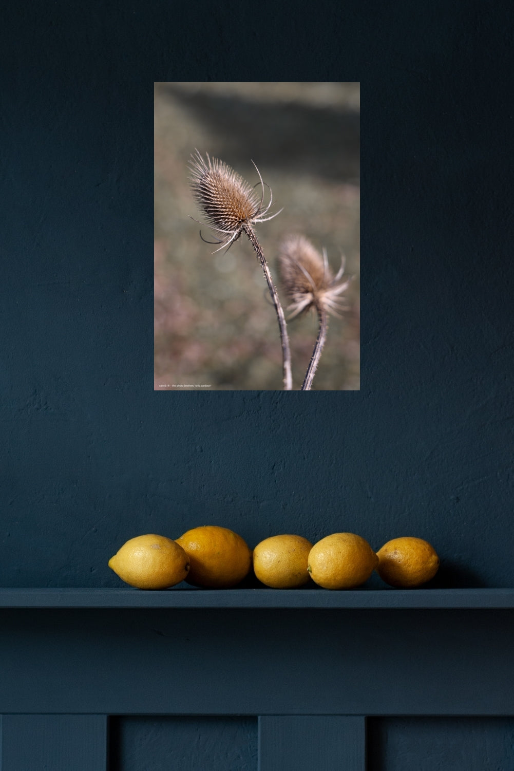 Wandbild "wild cardoon"