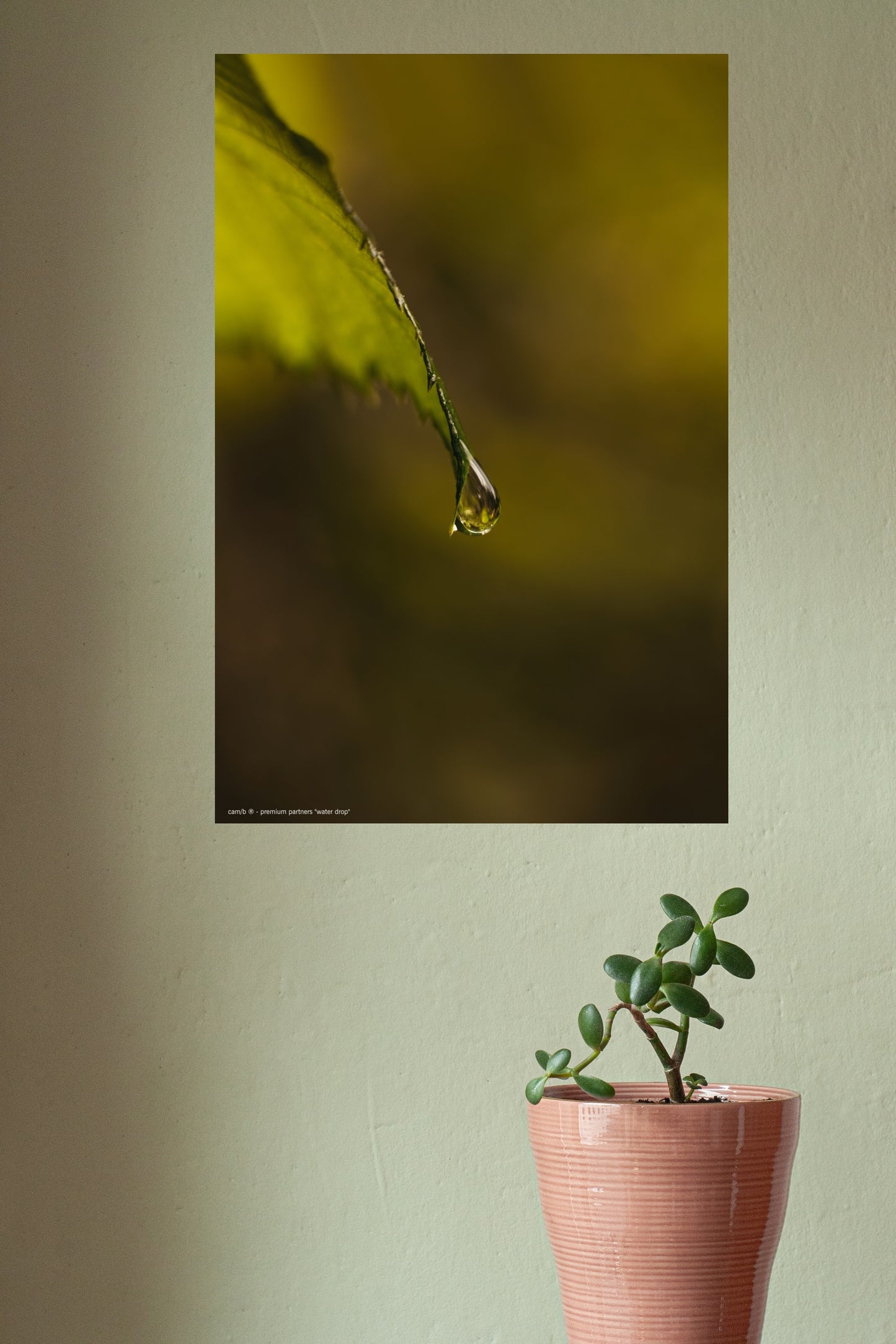 Wandbild "water drop"