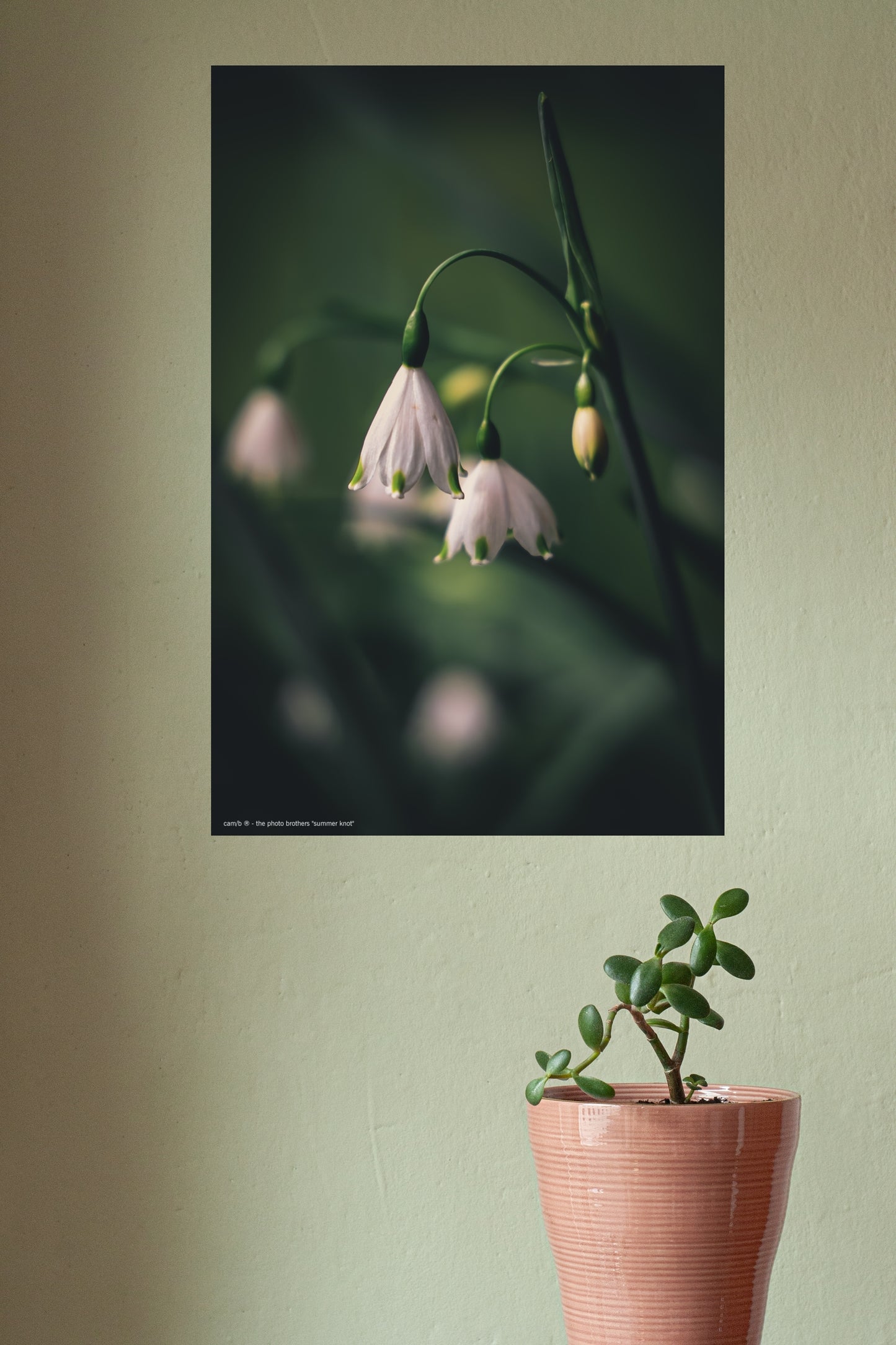 Wandbild "summer knot"