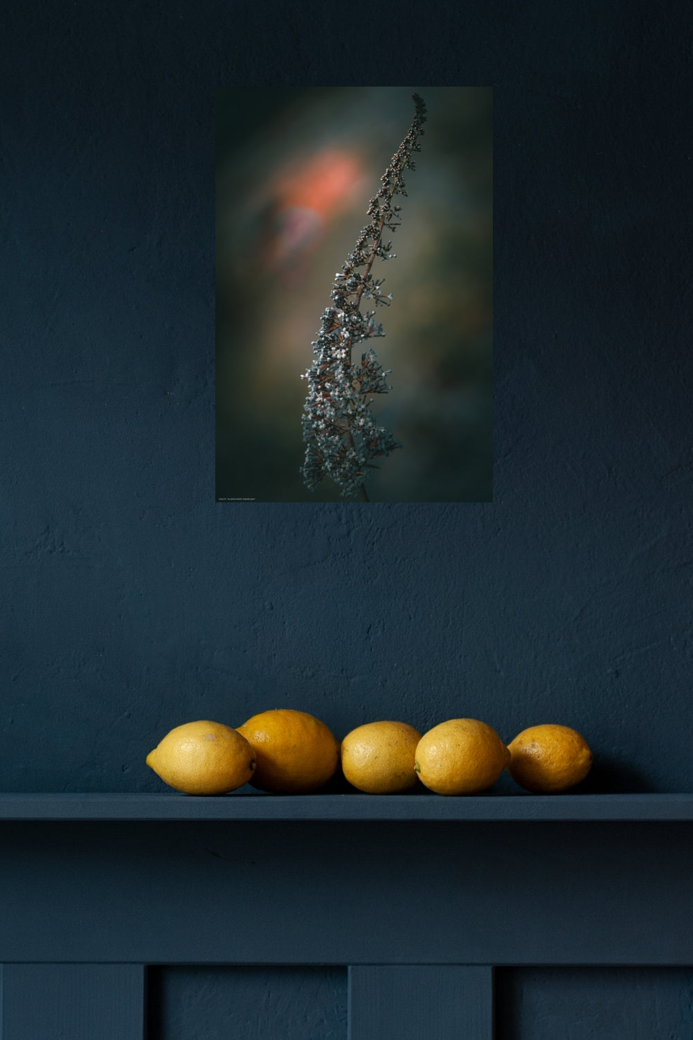 Wandbild "butterfly place"