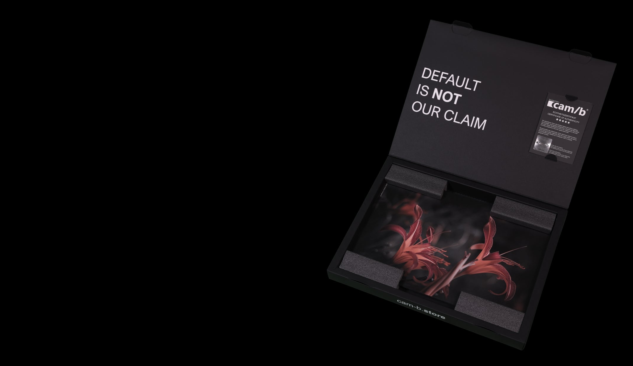 Bild: Offene Verpackung mit Bild