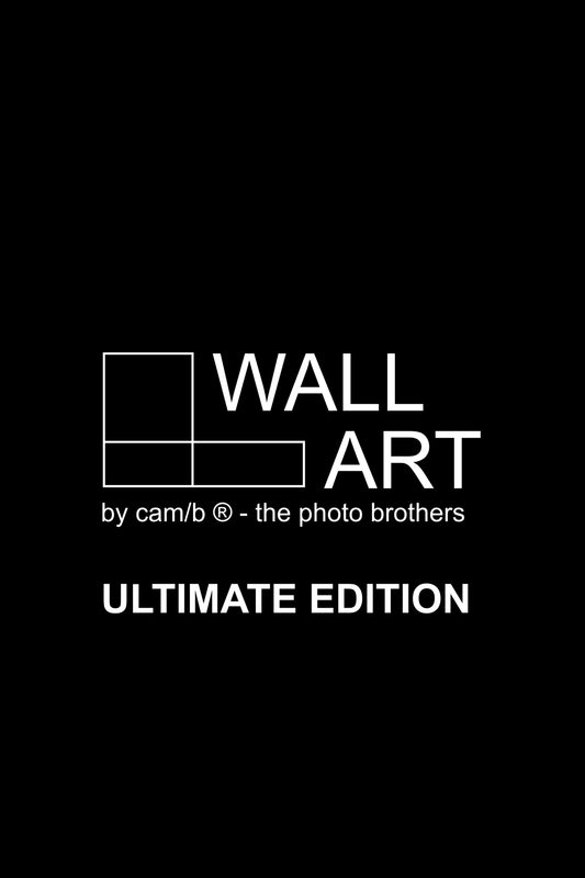 Ultimate Edition Logo