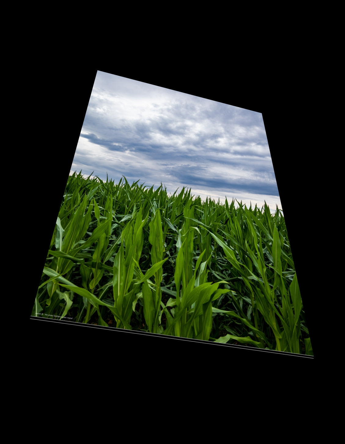 Kollektion Landschaften