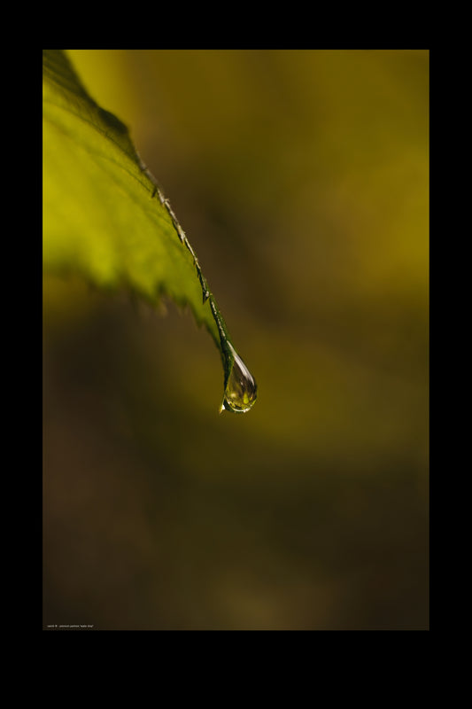 water drop