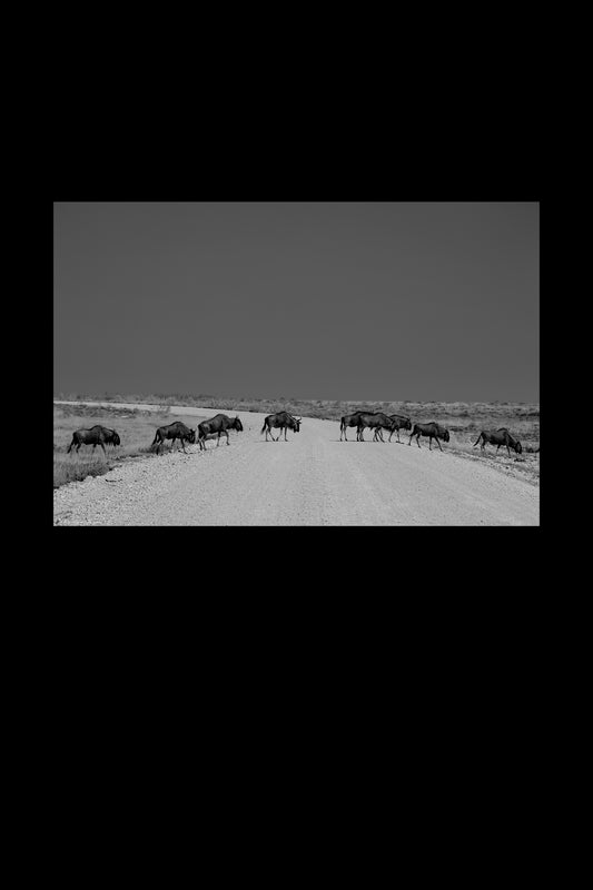 streets of namibia