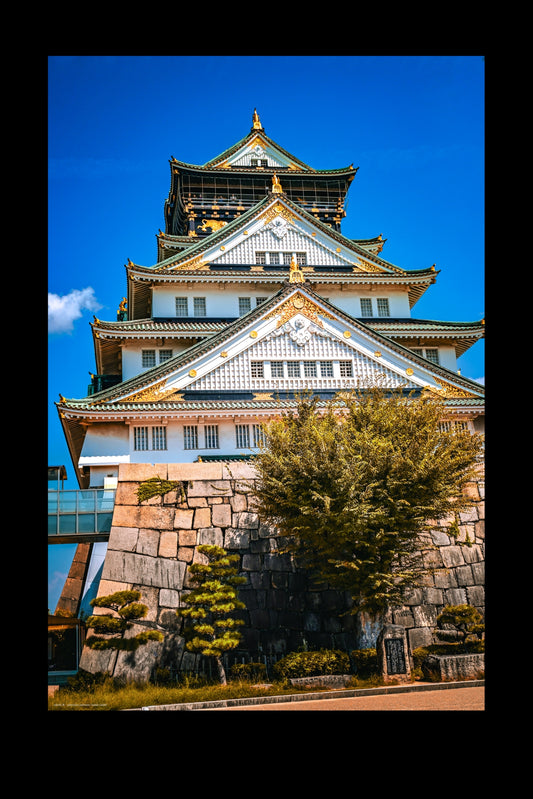 Wandbild "osaka castle"