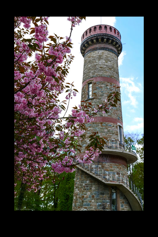spring tower