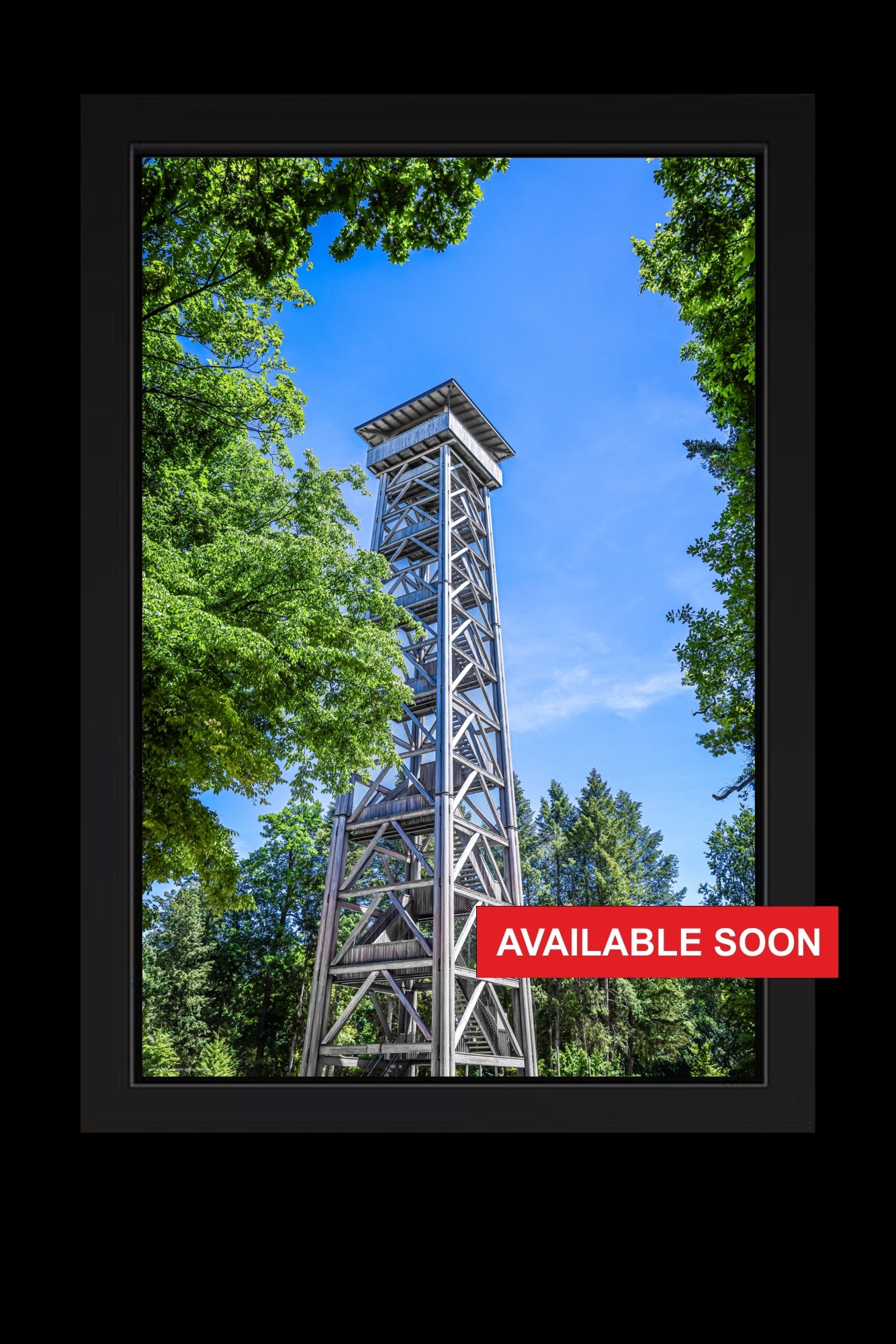 Wandbild "canopy" limitiert 5 Stück