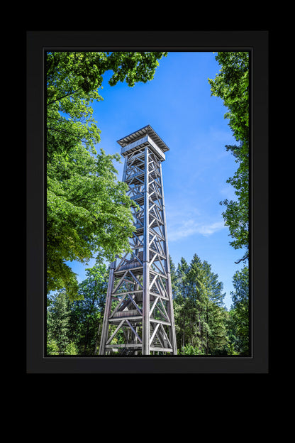 Wandbild "canopy" Limitierte Edition Nr. 1/5