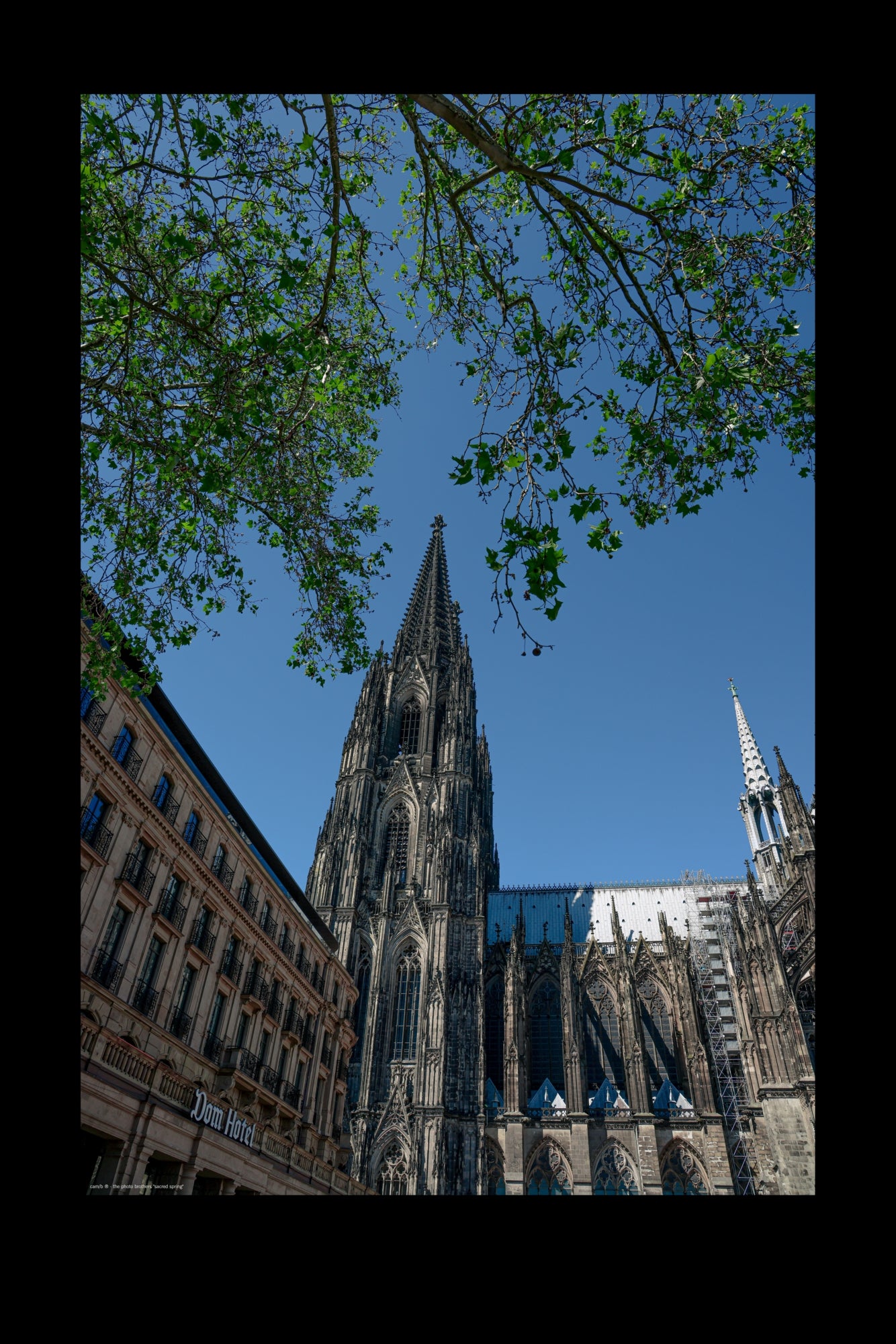 Wandbild "sacred spring"