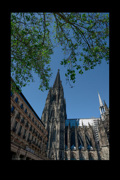 Wandbild "sacred spring"