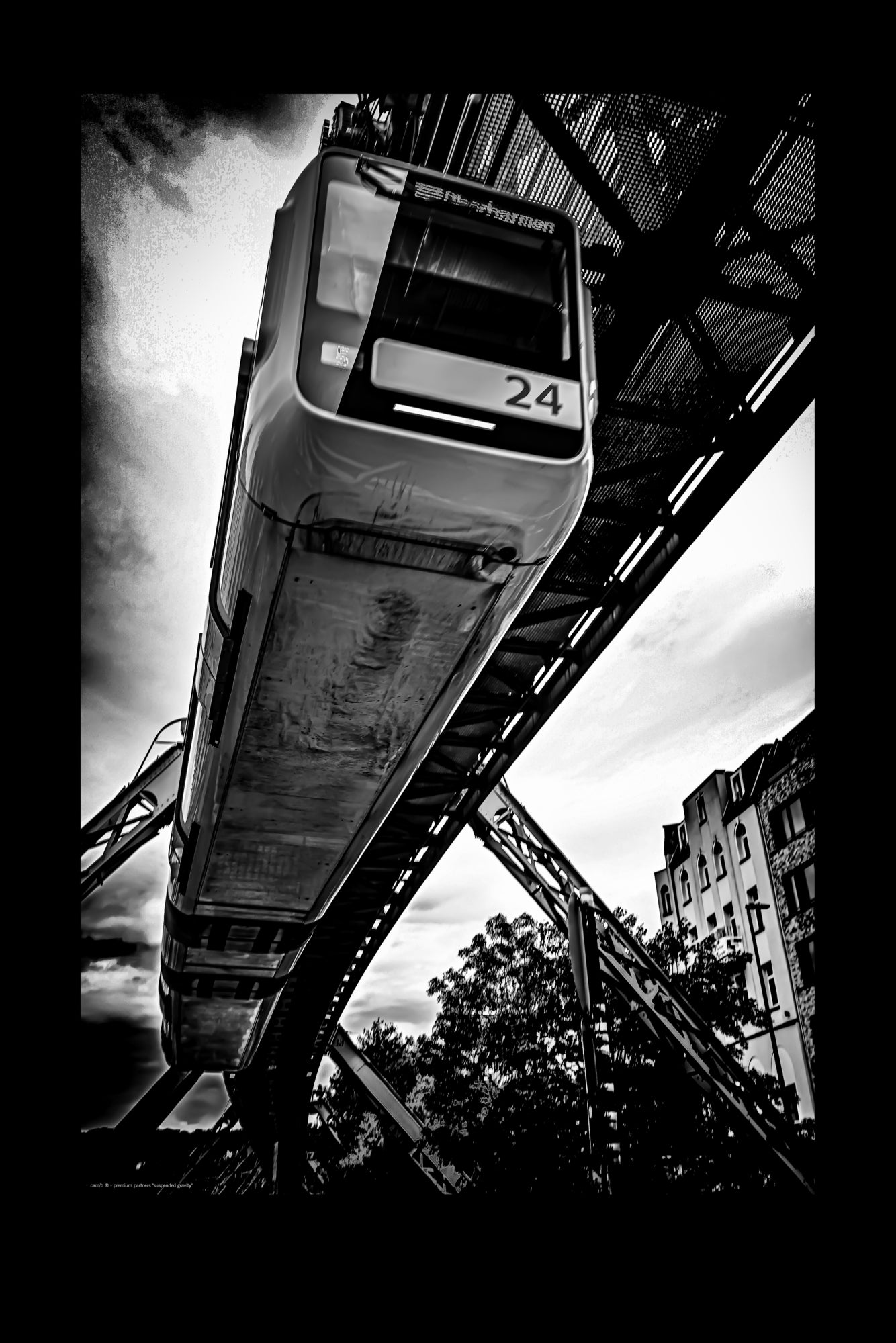 Wall Art "suspended gravity"