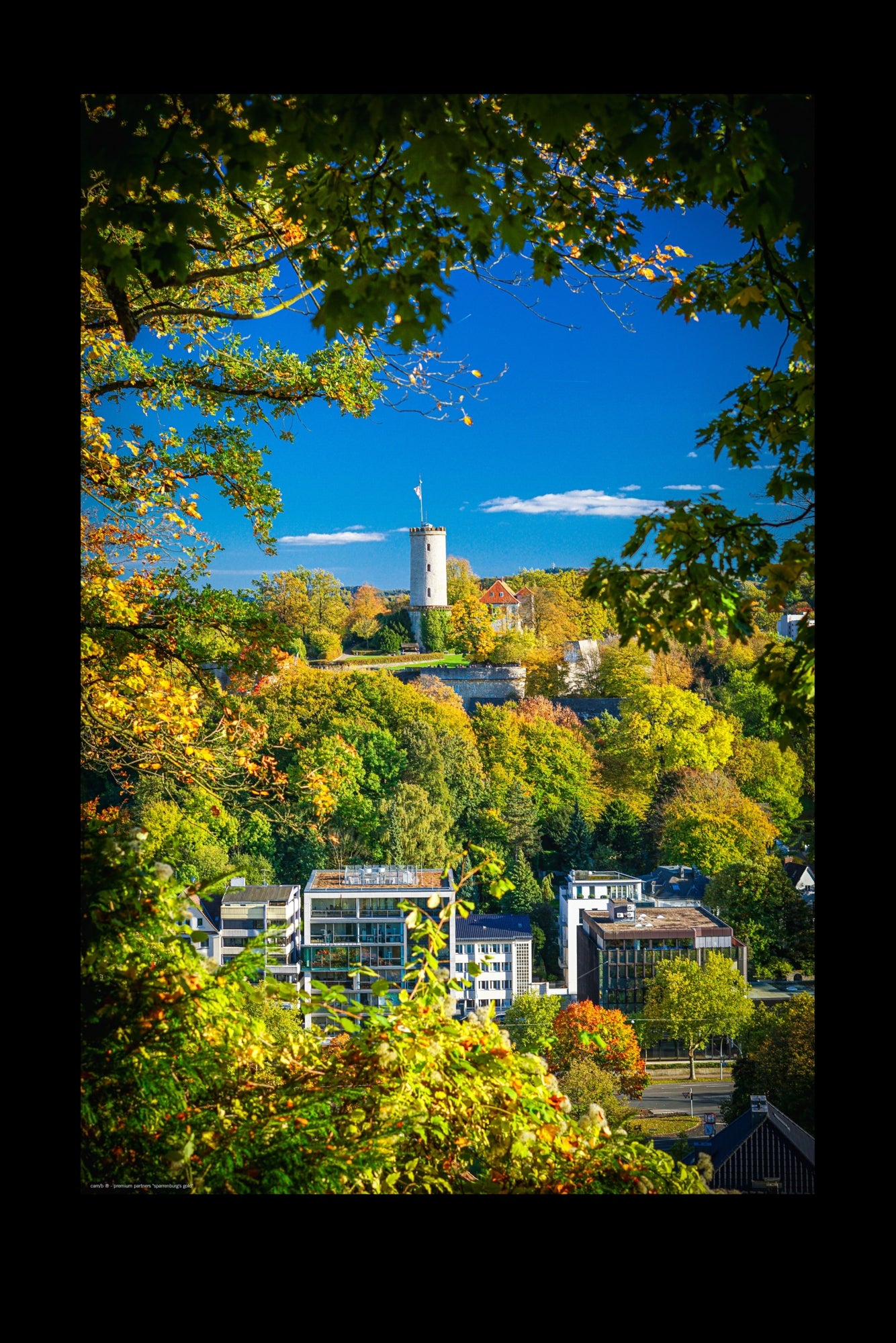 Wandbild "sparrenburg's gold"