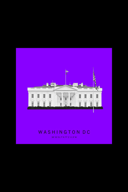 Wandbild "washington dc"